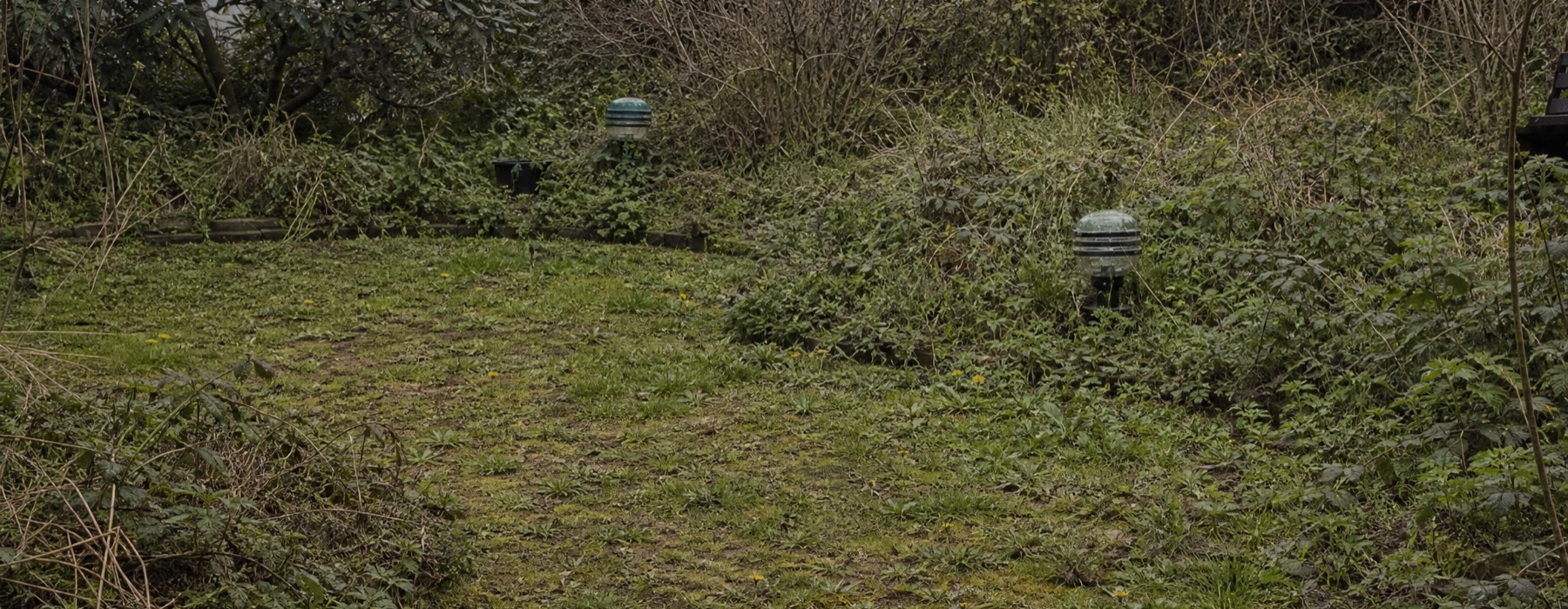 Vorher — verwilderter Garten