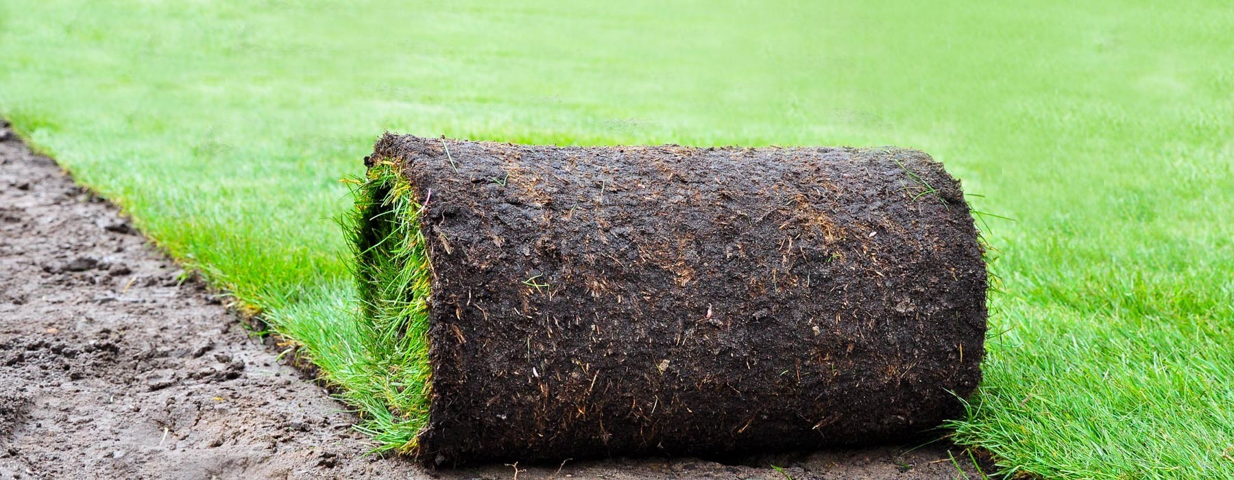 Gartenpflege und Rollrasen